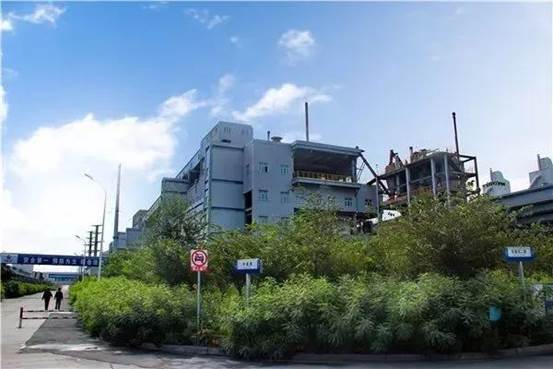 綠化、美化后的生產區(qū) （高玲 攝）